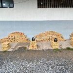 Força Tática prende homem com 500 quilos de maconha em Cuiabá