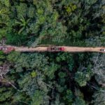 Governo de MT investe em tecnologia, contratações e aeronaves para enfrentar incêndios e desmatamento