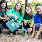 Governo de MT planta mais de 1,5 mil mudas para recuperação de nascente