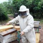 Prefeitura de Cuiabá estimula a Agricultura Familiar