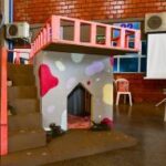 Estudantes de Arquitetura e Urbanismo criam espaços sustentáveis para cães e gatos abrigados pela Prefeitura de Cuiabá