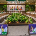 Para Lula, US$ 100 bi em financiamento climático são insuficientes