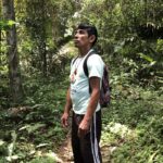 No Dia da Amazônia, organizações alertam sobre preservação do bioma