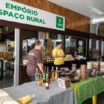 Mercado do Porto promete feriadão agitado com música ao vivo e festivais de peixe fresco, flores e gastronomia de 7 a 10 de setembro