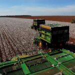 MT concentra 26 dos 50 municípios do país com os maiores valores de produção agrícola