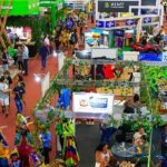 Fecomércio e governo de MT lançam ‘FIT Pantanal 2024’ na maior feira de turismo da América Latina