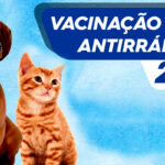 Prefeitura de Várzea Grande promove campanha de vacinação em cães e gatos neste sábado (07/10)