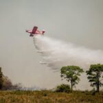 Governo de MT aciona Ministério do Meio Ambiente para reforçar ações de combate a incêndio no Parque Nacional do Pantanal