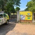 Bem-Estar Animal realizou mais de 900 castrações este ano e prevê ampliar atendimento