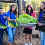 Governo de MT investe na formação técnica de estudantes para atuação no campo