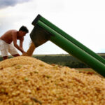 Produção de MT foi exportada para 23 novos países no ano passado