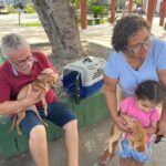 Sucesso! Trinta e cinco cães e gatos ganharam um lar graças à feira de adoção promovida pela Bem-Estar Animal