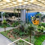 Governo de MT lança novo sistema CAR Digital para agilizar análise dos cadastros de imóveis rurais