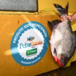 Prefeitura tomará providência para punir empresa responsável por desistir de fornecimento do Peixe Santo