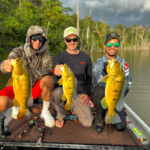 Turismo de pesca movimenta economia de municípios mato-grossenses