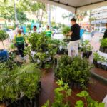 Projeto de doação de mudas frutíferas é um sucesso e será desenvolvido em outras regiões da cidade ao longo do mês