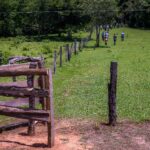 Seaf vai abordar políticas da agricultura familiar e fortalecimento do turismo rural durante a FIT Pantanal