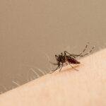 Número de casos de doenças transmitidas pelo Aedes aegypti aumentou em Várzea Grande (MT)