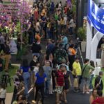 FIT Pantanal 2024 tem recorde de público e divulga resultados positivos