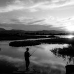 Exposição fotográfica sobre o Pantanal fica em cartaz até 30 de junho em Cuiabá