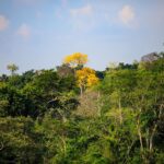 Governo de MT prorroga decreto de emergência no trecho do Portão do Inferno