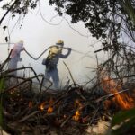 Governo Federal destina R$ 137 milhões em crédito extraordinário para combate a incêndios no Pantanal