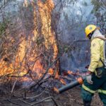 Operação Pantanal mobiliza 700 profissionais do Governo Federal