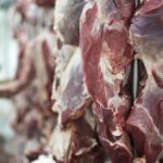 Exportação de carne bovina supera 237 mil toneladas