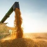 Agronegócio fecha semestre com superávit de quase US$ 72 bilhões