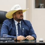 AL aprova projeto que possibilita porte de arma para mulheres sob medida protetiva