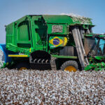 Imea projeta 12,6 milhões de hectares para a soja e reduz estimativa do algodão