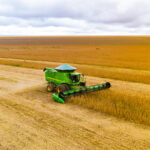 Exportações de soja devem alcançar 5,8 milhões de toneladas