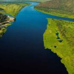 Lei que libera atividades pecuárias em áreas de preservação do Pantanal é sancionada em MT