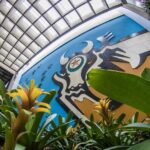 MT é o terceiro melhor entre os Estados do país na aplicação da nova Lei de Licitações, segundo TCU