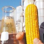 MT terá nova usina de etanol de milho de R$ 1,3 bilhão e se consolida como o maior produtor do país