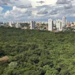 ALMT aprova projeto que prevê criação de plano estadual de arborização urbana em Cuiabá