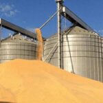 Produção de grãos de MT deve aumentar 4,3% na safra 2024/2025