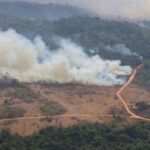 Força Nacional vai combater crimes ambientais em Mato Grosso
