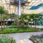 Governo de MT consegue decisão no STF para suspender cobrança indevida da União