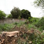 Terreno sujo gera multas e pode ser denunciado via WhatsApp