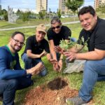 Unicred MT e Programa Verde Novo realizam o plantio de 500 mudas em Cuiabá
