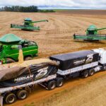 Mato Grosso deverá responder por 30% da safra recorde de grãos no Brasil