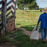 Governo de MT reforça apoio à agricultura familiar com mais de R$ 700 milhões de investimentos