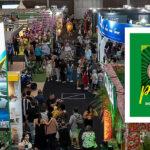 Fórum Empresarial debate investimentos no turismo de Mato Grosso durante a FIT Pantanal 2025