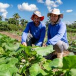 Governo de MT investiu R$ 720 milhões na agricultura familiar