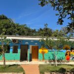 Virada Sustentável 2025 deixa peças artísticas em parques estaduais de Cuiabá