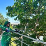 Orla em Várzea Grande recebe revitalização e espaço será devolvido à população nos próximos dias