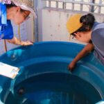 Agentes de Endemia realizam levantamentos ‘in loco’ nos bairros de Várzea Grande