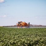 Mato Grosso puxa alta na estimativa de produção agrícola e consolida liderança nacional