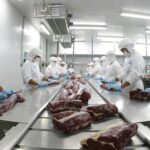 Mato Grosso exporta 368,8 mil toneladas de carne bovina para 77 países